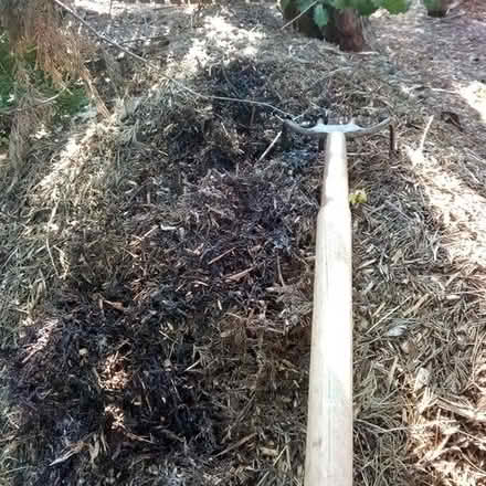 Photo of free A lot of Aged & Fine chipped Wood Mulch.. near Rt 118 & Rt 28 #1