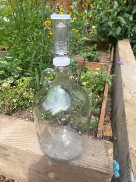 Photo of free Fermenting vessel, Demi jon (SS15) #1