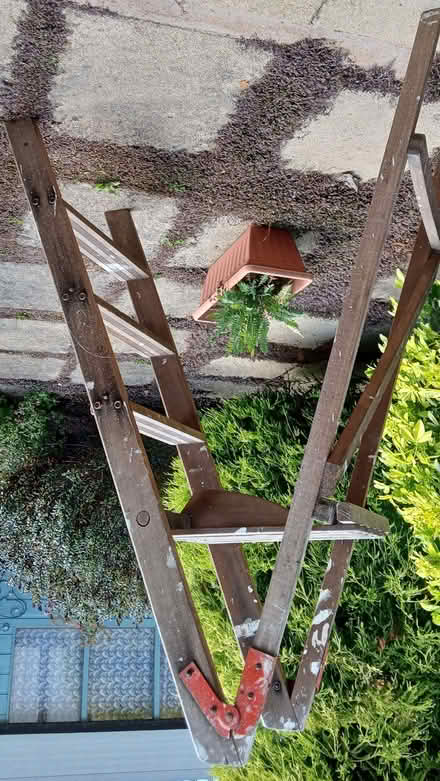 Photo of free wooden stepladder (Loughborough LE11) #1