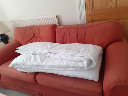 Photo of free King size quilt (Bear flat, Bath) #1