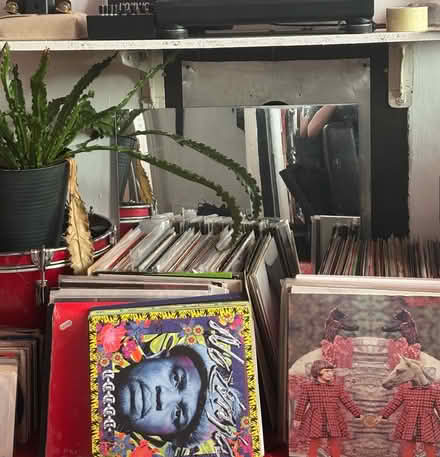 Photo of Shelves (for records) (New cross gate) #1