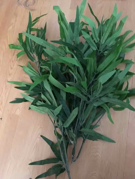Photo of free Green fake leaves (Near Old Street Station) #1