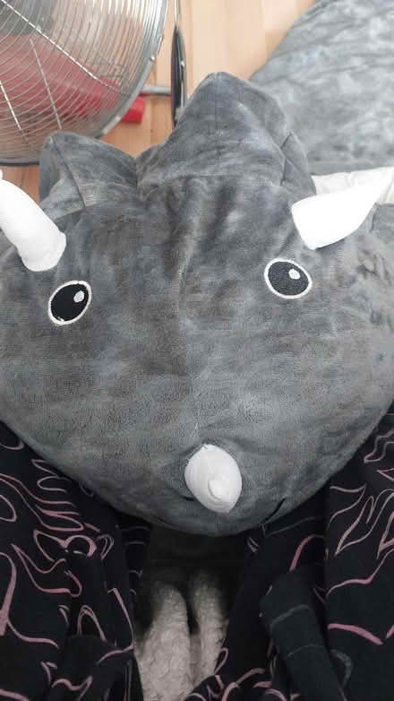 Photo of free Dinosaur sleeping bag (West bromwich) #1