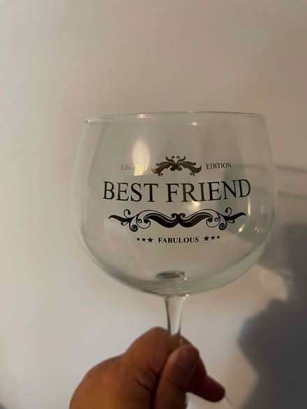 Photo of free Best friend Gin glass with bag (Oxford OX4) #1
