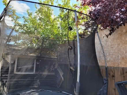 Photo of free trampoline (Ng85Fb NG8) #2