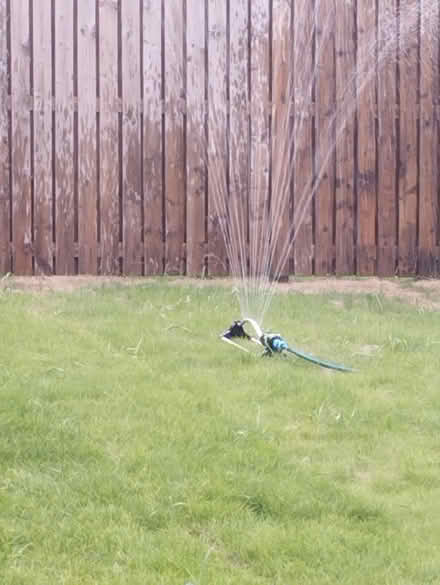 Photo of Sprinkler (Danderhall EH2) #1