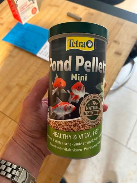 Photo of free Pond Pellets (Howhlill Quarries HG3) #1