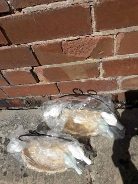 Photo of free Bird baths / feeders (Royal Leamington Spa CV32) #1