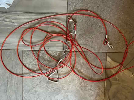 Photo of free Dog spike and long lead (Burbage SK17) #1