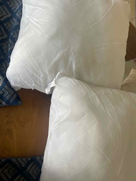 Photo of free Two cushion covers and new inserts (Marlborough) #3