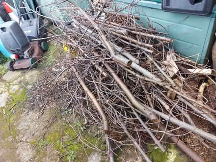 Photo of free Tree Branches for Firewood (Guide Bridge OL7) #2