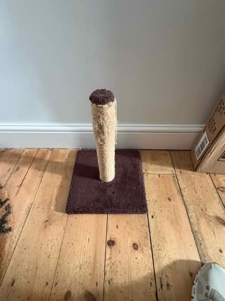 Photo of free Cat scratch post (SE10) #1