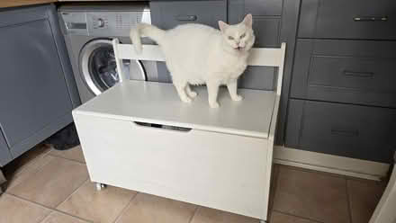 Photo of free White toybox (West Croydon CR0) #1