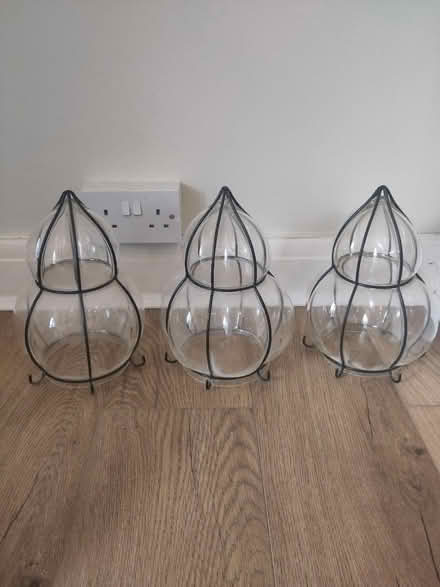 Photo of free Glass light shades x3 (Cranmer Avenue BN3) #1