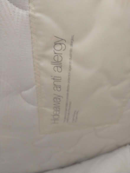 Photo of free Single mattress (Wood Green N22) #1