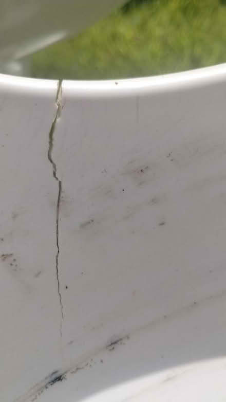 Photo of free Vintage tulip chairs for repair (Heaton Chapel SK4) #2