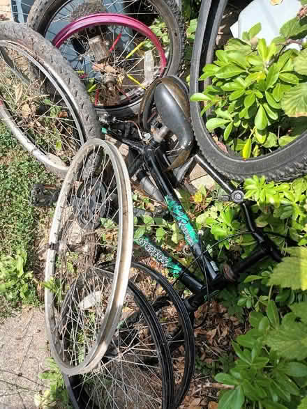 Photo of free Bike frame and parts,wheels (Bedmond WD5) #2