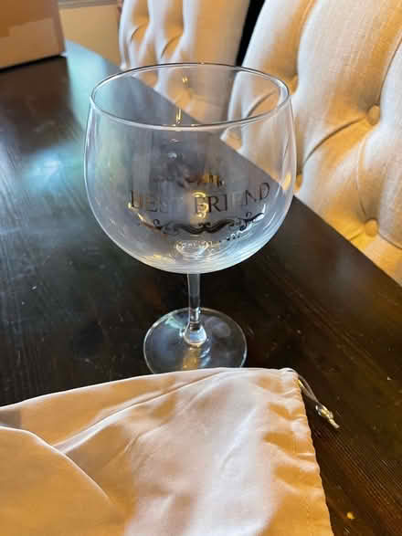 Photo of free Best friend Gin glass with bag (Oxford OX4) #2