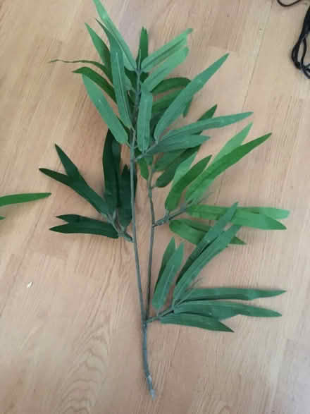 Photo of free Green fake leaves (Near Old Street Station) #2