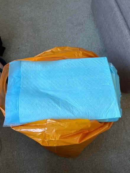 Photo of free Puppy training pads (Holmer Green) #3