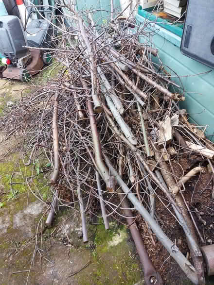 Photo of free Tree Branches for Firewood (Guide Bridge OL7) #1