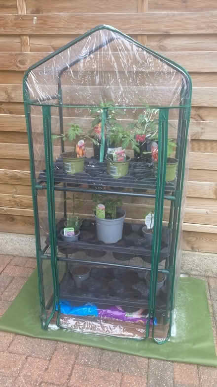 Photo of free Mini Greenhouse (Tadworth KT20) #1