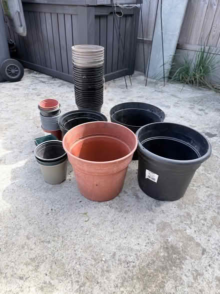 Photo of free Flower Pots / Plastic Plant Pots (Ware SG12) #1