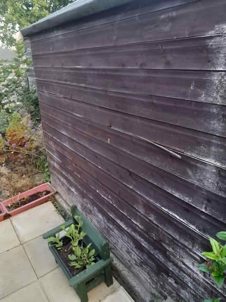 Photo of free 6ft×8ftdepth shed (Sundorne SY1) #2