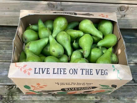 Photo of free Box of pears in Upper Weston- come and take what you need (Weston) #1