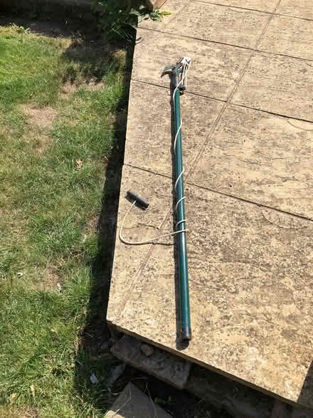 Photo of free Treeopper (Hucclecote,) #1