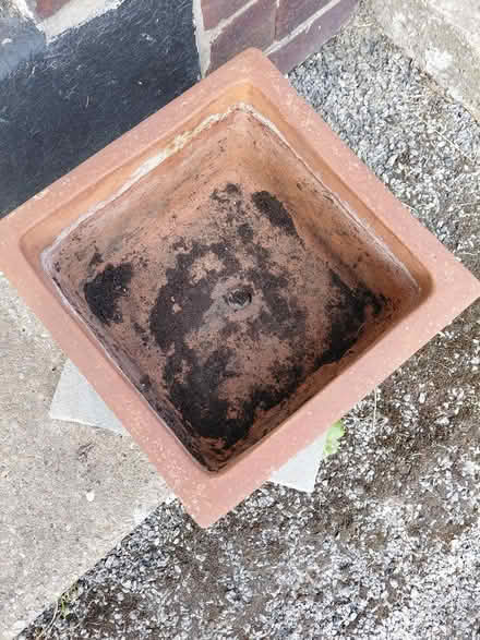 Photo of free Terracotta Pot (Sheffield 12 S12) #3