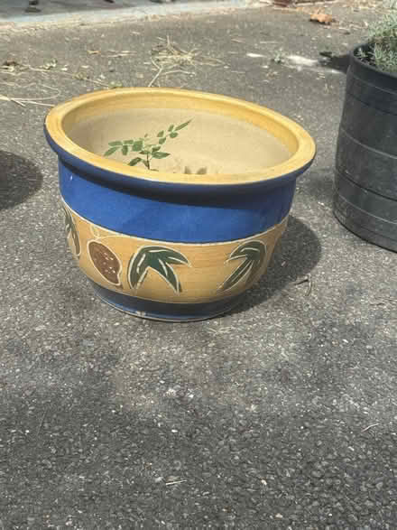 Photo of free Clay pots (Maidenhead SL6 4) #3