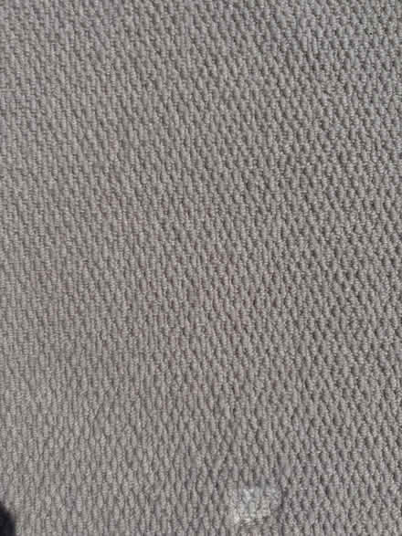 Photo of free Rug (Postcombe OX9) #1