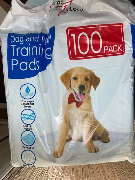 Photo of free Pet training pads (Dun Laoghaire/Killiney) #3