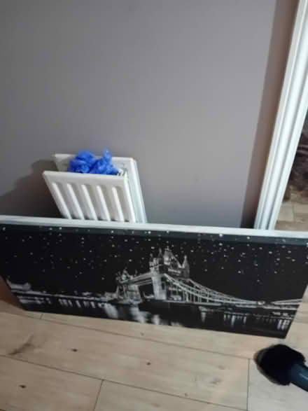 Photo of free canvas pitcure (horsham RH12) #1