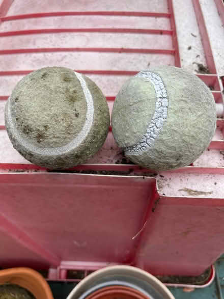 Photo of free X2 Tennis Balls (Kempston MK42) #1
