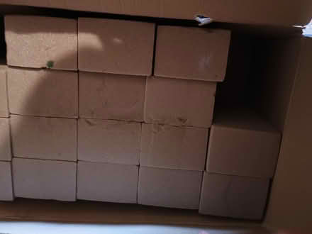 Photo of free Floral oasis (Chesterfield, S40) #2