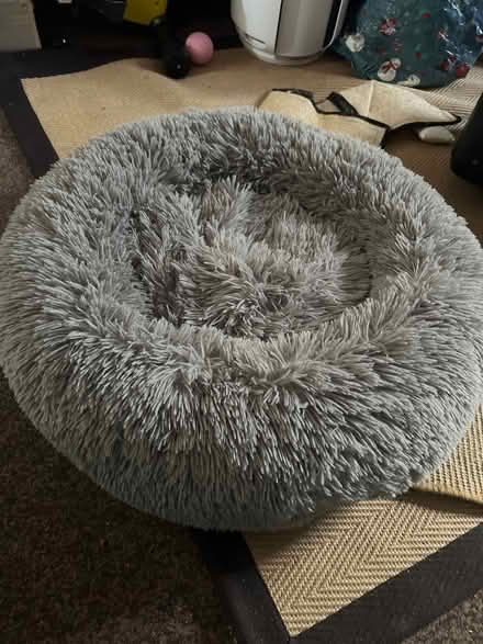 Photo of free Pet bed (Stockwood BS14) #1