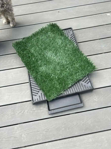Photo of free Dog potty tray (Chislehurst, BR7) #1
