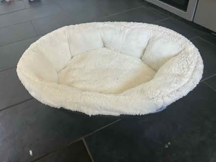 Photo of free Small dog bed (Rusthall) #2