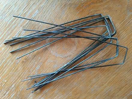 Photo of free Garden staples (GU2 Stoughton) #3