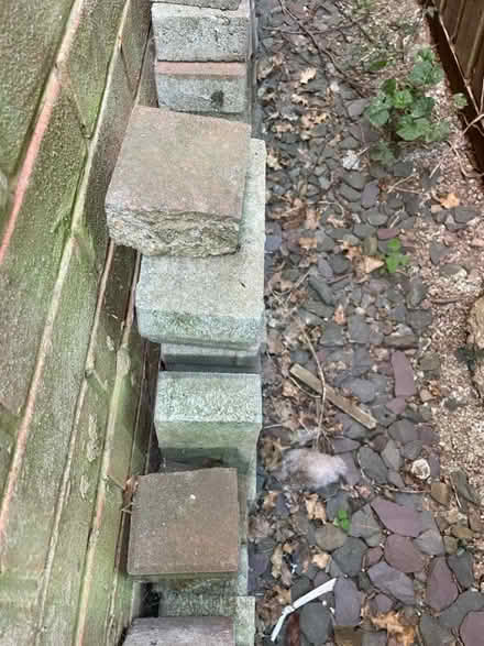 Photo of free Block paving bricks (Whitecross HR4) #3