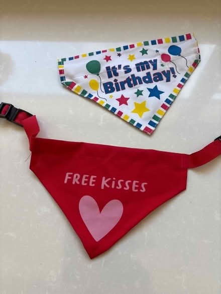Photo of free Pet bandanas (Broomgrove TN34) #1