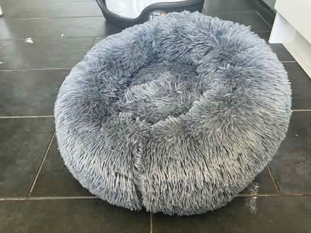 Photo of free Cat bed (Rusthall) #1