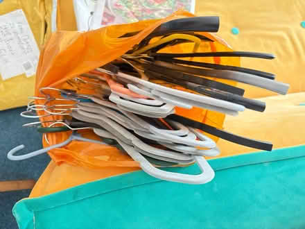 Photo of free Coat hangers - plastic (i360) #1