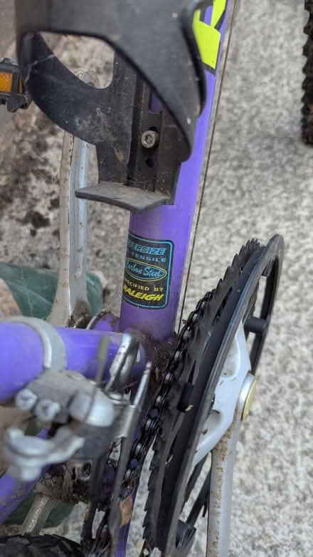 Photo of free Girls bike (Brimington S43) #2