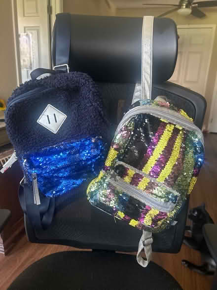 Photo of free Festive backpacks (Shadowridge) #1