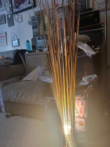 Photo of free Decorative lamp (Parkside SK7) #1