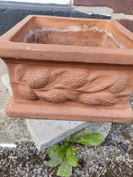 Photo of free Terracotta Pot (Sheffield 12 S12) #2