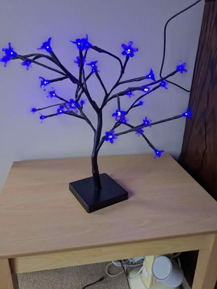 Photo of free Tree light (Portishead (BS20)) #1